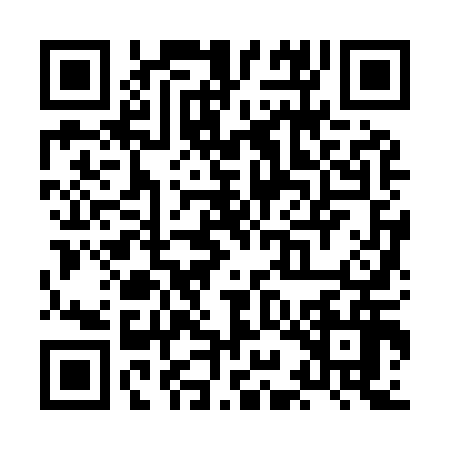 QR code for XIJ9161