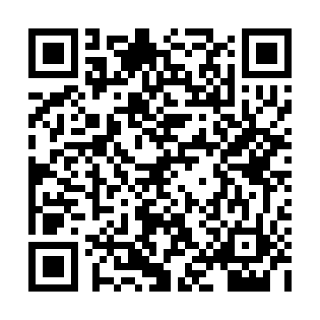 QR code for XIV2528
