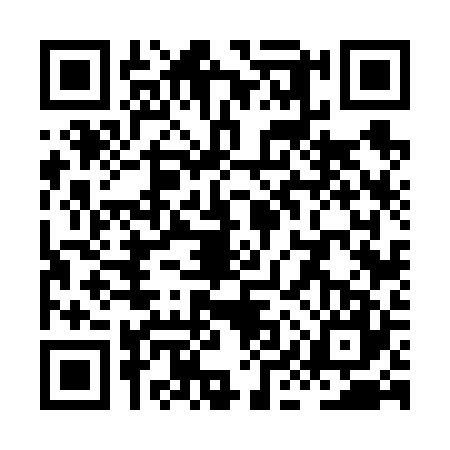 QR code for XIV6273