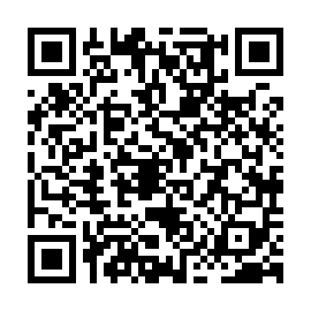 QR code for XIX9599