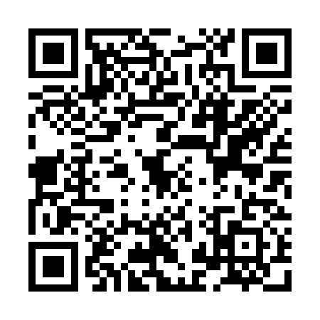 QR code for XJX3317