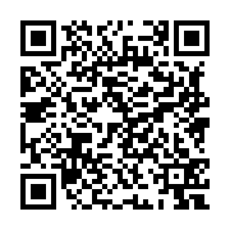 QR code for XJX8334