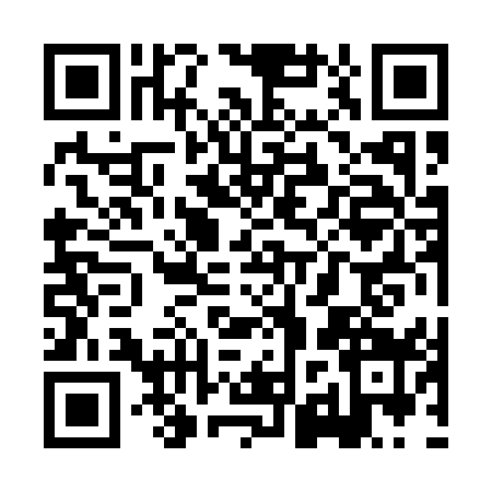 QR code for XJZ1594