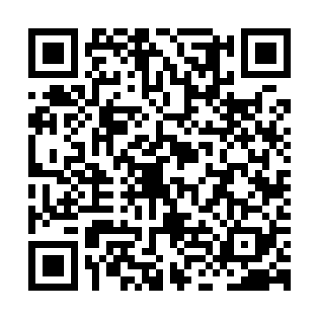 QR code for XLF9299