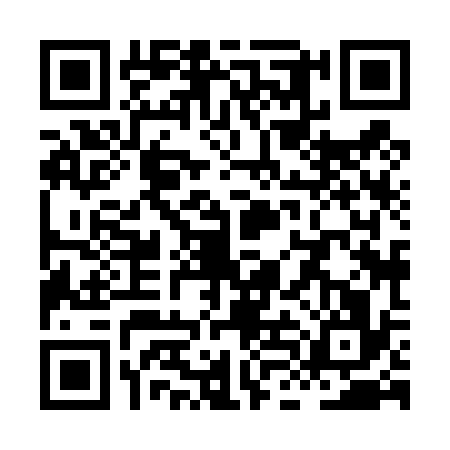 QR code for XLH4369