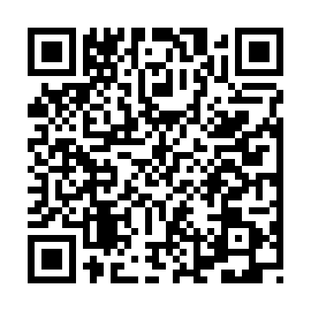 QR code for XLV2010