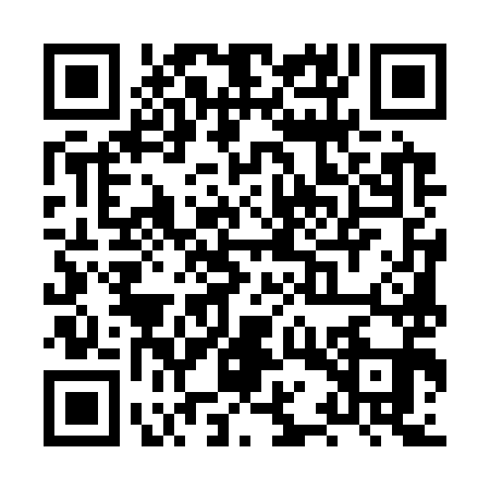 QR code for XQU3919