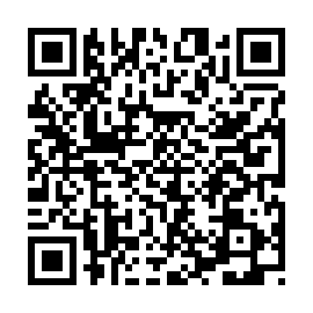 QR code for XRX2919