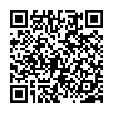 QR code for XSI0991