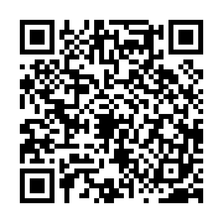 QR code for XSP0636