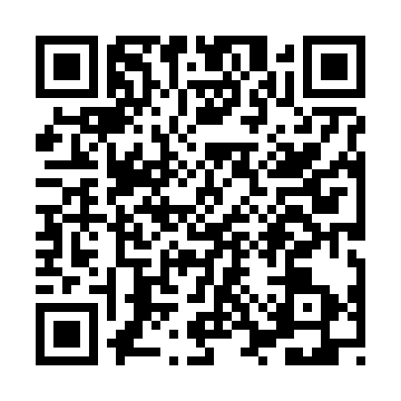 QR code for XSX6339