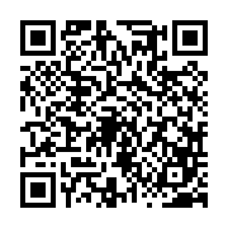 QR code for XSZ0461