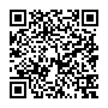 QR code for XVH5384