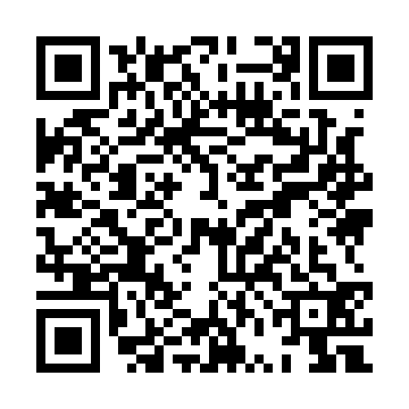 QR code for XVI1325
