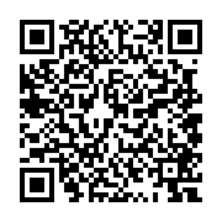 QR code for XYF0491