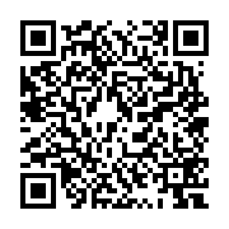 QR code for XYO6595