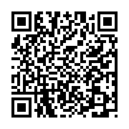 QR code for XZB9234