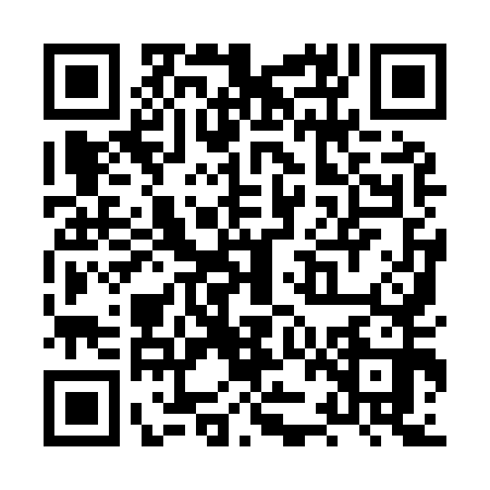 QR code for XZI9505