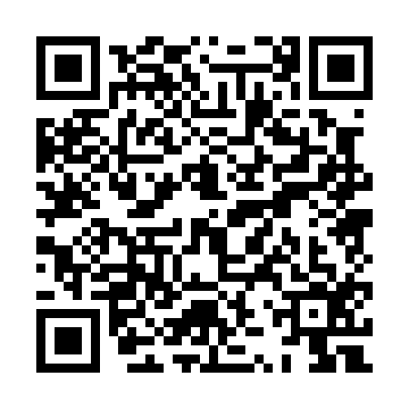 QR code for XZP0161