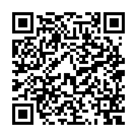 QR code for XZQ3966