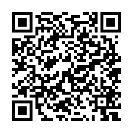 QR code for XZZ6491