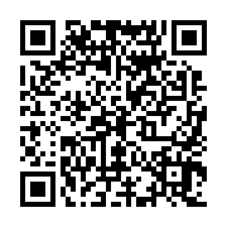 QR code for YAN2449
