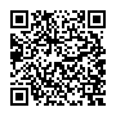 QR code for YAV6433