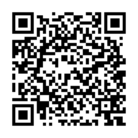 QR code for YBB6599