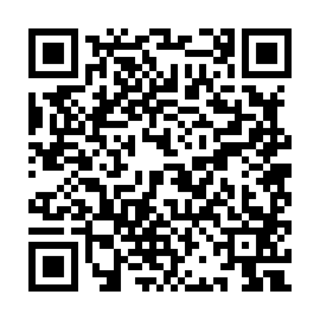 QR code for YBB8833