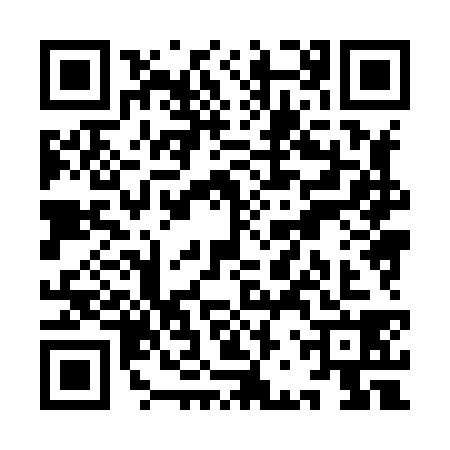 QR code for YBX8381