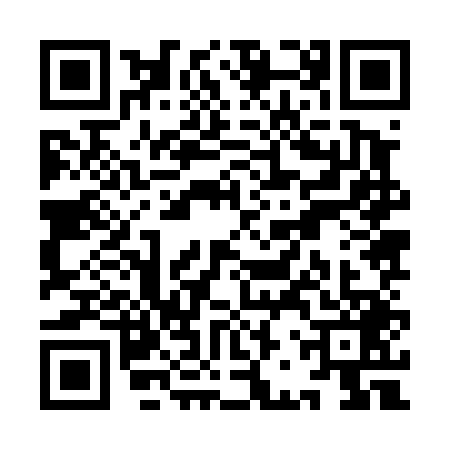 QR code for YBZ4495