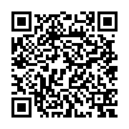QR code for YDJ0329