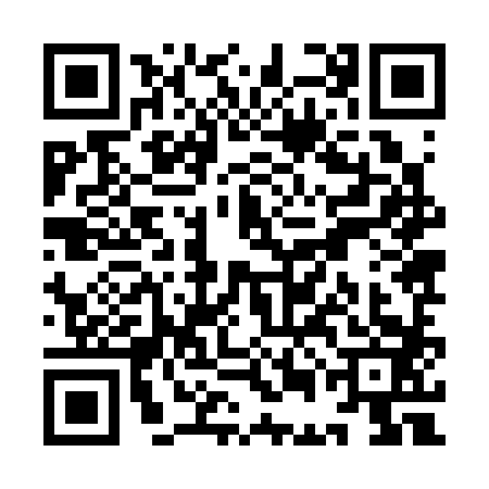 QR code for YEJ3833