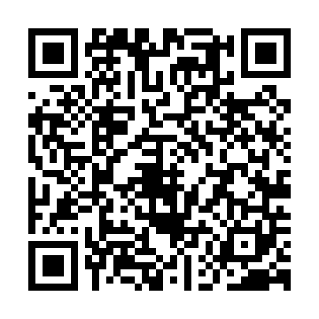QR code for YEL0411