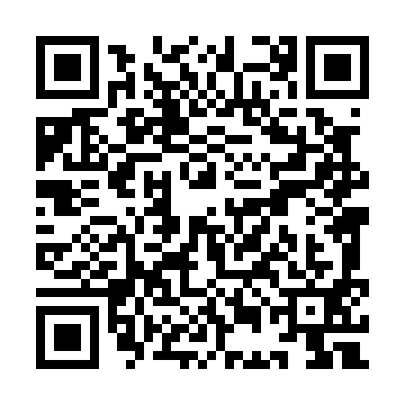 QR code for YEL0919