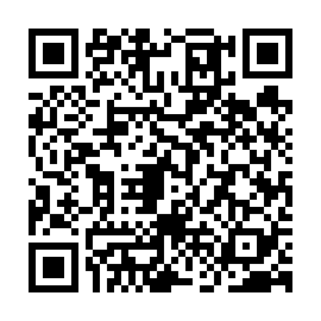 QR code for YFE6294