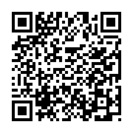 QR code for YFM2291