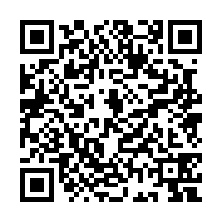 QR code for YGP0384