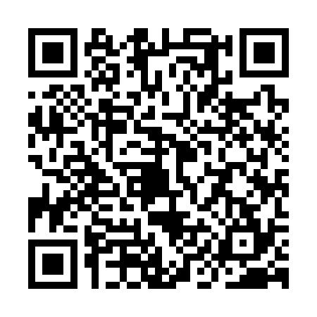 QR code for YII3341