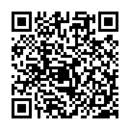 QR code for YIJ4953