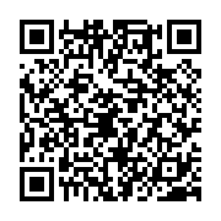QR code for YKO0313