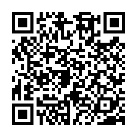 QR code for YLN4299