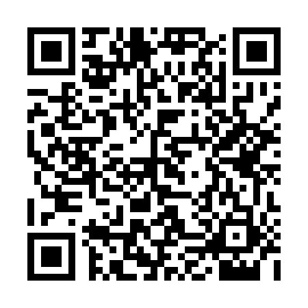QR code for YLZ1533