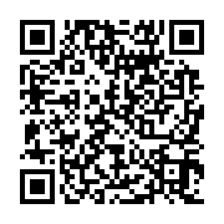 QR code for YML3119