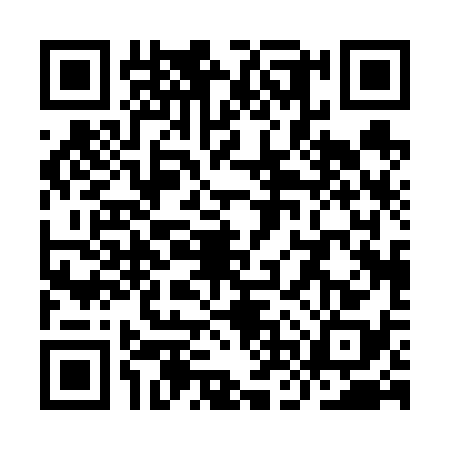 QR code for YNP6384