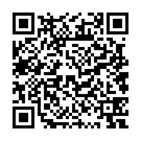 QR code for YQF0381