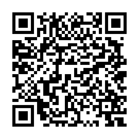 QR code for YSE4273