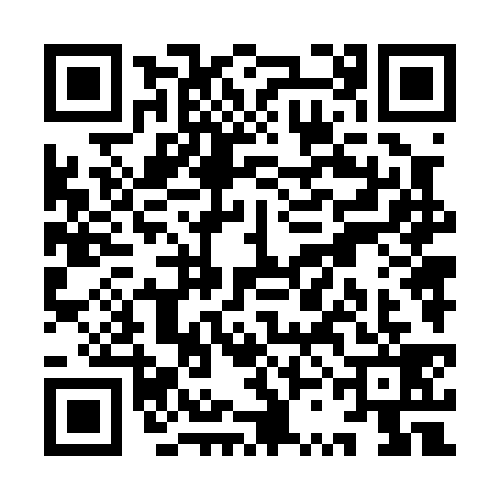 QR code for YSN0394