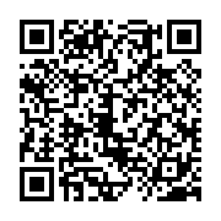 QR code for YTB0313