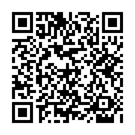 QR code for YTD2991